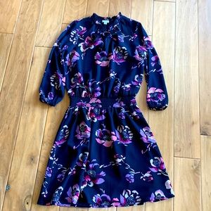 JCrew Navy Dress